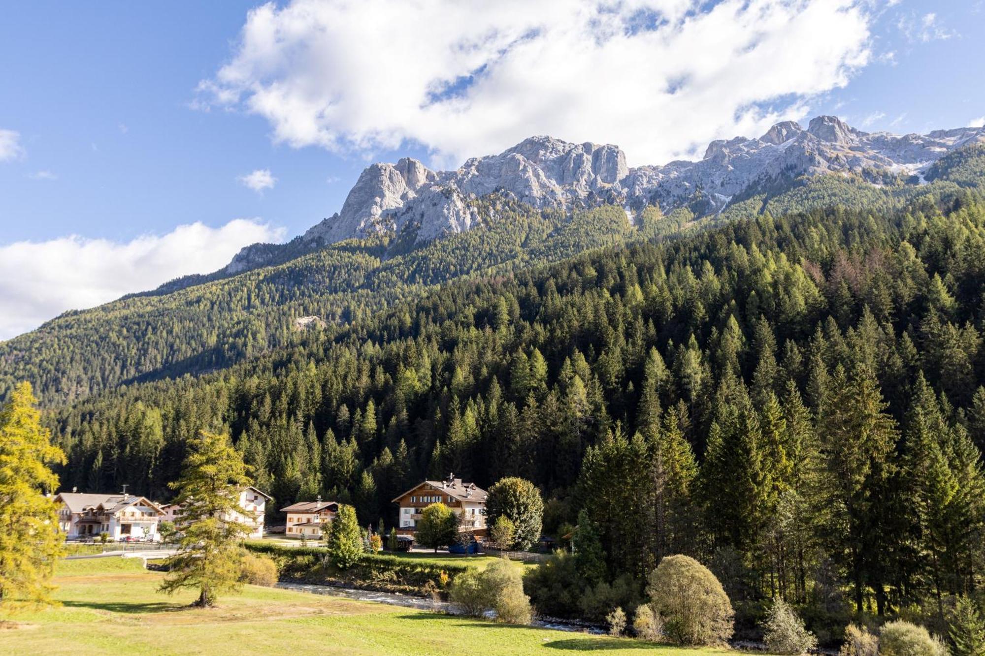 Wellness Hotel Dolomia Сорага Экстерьер фото